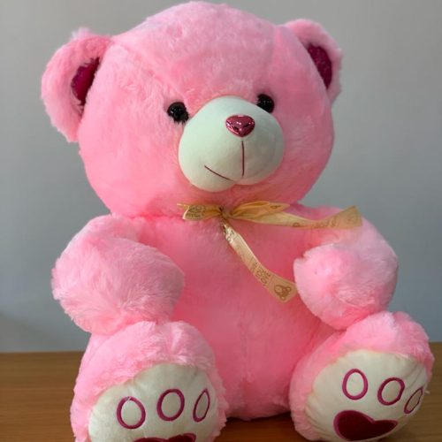 Pink Medium Teddy